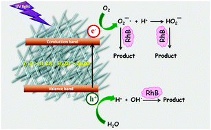 Graphical abstract: Facile synthesis of single crystalline n-/p-type ZnO nanorods by lithium substitution and their photoluminescence, electrochemical and photocatalytic properties