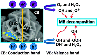 Graphical abstract: A controlled solvothermal synthesis of CuS hierarchical structures and their natural-light-induced photocatalytic properties