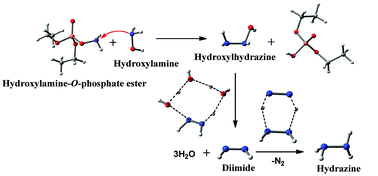 Graphical abstract: In silico study on the mechanism of formation of hydrazine and nitrogen in the reactions of excess hydroxylamine with 2,4-dinitrophenyl diethyl phosphate