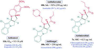 Graphical abstract: Efficient synthesis of some new antiproliferative N-fused indoles and isoquinolines via 1,3-dipolar cycloaddition reaction in an ionic liquid