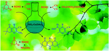 Graphical abstract: Salicyldimine-based Schiff's complex of copper(ii) as an efficient catalyst for the synthesis of nitrogen and oxygen heterocycles