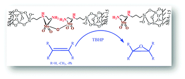 Graphical abstract: An environmentally friendly route for grafting of molybdenum carbonyl onto a diaminosilane-modified SBA-15 molecular sieve and its catalytic behaviour in olefin epoxidation