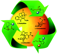 Graphical abstract: The ever-expanding role of asymmetric covalent organocatalysis in scalable, natural product synthesis