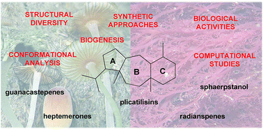 Graphical abstract: The isolation and synthesis of neodolastane diterpenoids