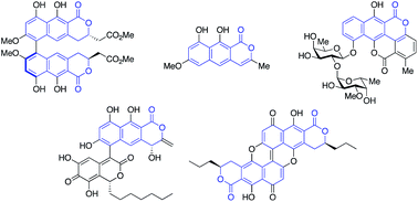 Graphical abstract: Naphthopyranones – isolation, bioactivity, biosynthesis and synthesis