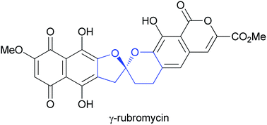 Graphical abstract: Isolation, biological activity, biosynthesis and synthetic studies towards the rubromycin family of natural products