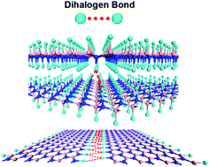 Graphical abstract: Tuning band gaps of BN nanosheets and nanoribbons via interfacial dihalogen bonding and external electric field