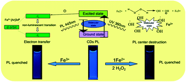 Graphical abstract: Investigation into the fluorescence quenching behaviors and applications of carbon dots