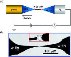 Graphical abstract: Bandgap engineering and manipulating electronic and optical properties of ZnO nanowires by uniaxial strain