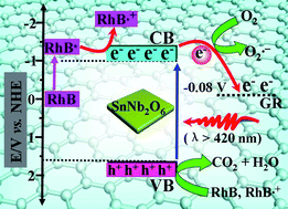 Graphical abstract: Tuning the surface charge of graphene for self-assembly synthesis of a SnNb2O6 nanosheet–graphene (2D–2D) nanocomposite with enhanced visible light photoactivity