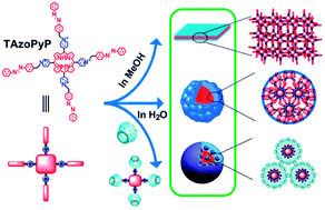 Graphical abstract: Self-assembly and optical properties of a porphyrin-based amphiphile