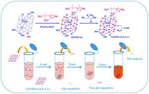 Graphical abstract: New GO–PEI–Au–l-Cys ZIC-HILIC composites: synthesis and selective enrichment of glycopeptides