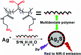 Graphical abstract: Retracted Article: Water-soluble multidentate polymers compactly coating Ag2S quantum dots with minimized hydrodynamic size and bright emission tunable from red to second near-infrared region