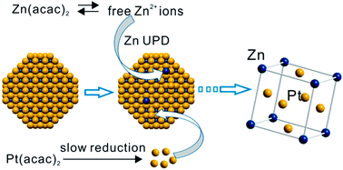 Graphical abstract: Wet chemical synthesis of intermetallic Pt3Zn nanocrystals via weak reduction reaction together with UPD process and their excellent electrocatalytic performances