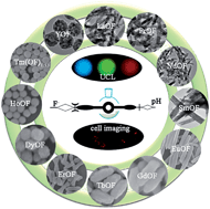 Graphical abstract: Monodisperse lanthanide oxyfluorides LnOF (Ln = Y, La, Pr–Tm): morphology controlled synthesis, up-conversion luminescence and in vitro cell imaging