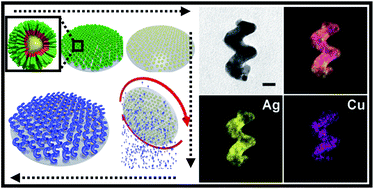 Graphical abstract: Nanohelices by shadow growth