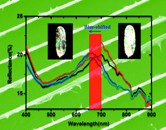 Graphical abstract: Spectral selectivity of 3D magnetophotonic crystal film fabricated from single butterfly wing scales