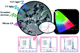 Graphical abstract: Multifunctional ScF3:Ln3+ (Ln = Tb, Eu, Yb, Er, Tm and Ho) nano/microcrystals: hydrothermal/solvothermal synthesis, electronic structure, magnetism and tunable luminescence properties