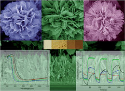 Graphical abstract: Hierarchical growth of SnO2 nanostructured films on FTO substrates: structural defects induced by Sn(ii) self-doping and their effects on optical and photoelectrochemical properties