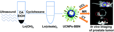 Graphical abstract: Ultrasonic assisted preparation of lanthanide-oleate complexes for the synthesis of multifunctional monodisperse upconversion nanoparticles for multimodal imaging