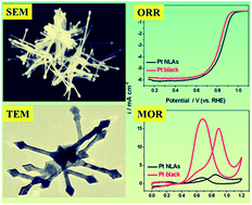 Graphical abstract: Highly branched platinum nanolance assemblies by polyallylamine functionalization as superior active, stable, and alcohol-tolerant oxygen reduction electrocatalysts