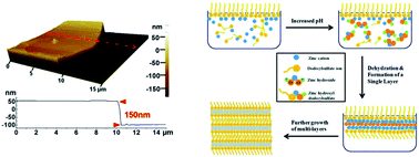 Graphical abstract: Mechanisms in the solution growth of free-standing two-dimensional inorganic nanomaterials