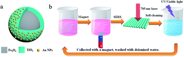 Graphical abstract: Multifunctional Fe3O4@TiO2@Au magnetic microspheres as recyclable substrates for surface-enhanced Raman scattering