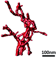 Graphical abstract: Synthesis of a 3D network of Pt nanowires by atomic layer deposition on a carbonaceous template