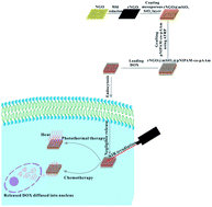 Graphical abstract: Facile fabrication of a near-infrared responsive nanocarrier for spatiotemporally controlled chemo-photothermal synergistic cancer therapy