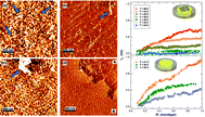 Graphical abstract: Thermolubricity of gas monolayers on graphene