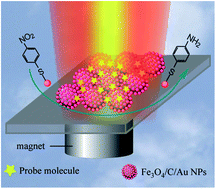 Graphical abstract: Highly sensitive in situ monitoring of catalytic reactions by surface enhancement Raman spectroscopy on multifunctional Fe3O4/C/Au NPs