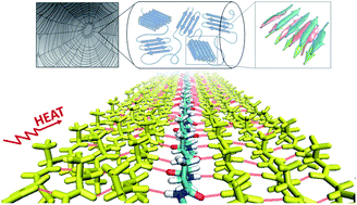 Graphical abstract: Hydrogen bonding-assisted thermal conduction in β-sheet crystals of spider silk protein