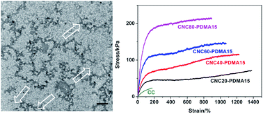 Graphical abstract: Simple approach to reinforce hydrogels with cellulose nanocrystals