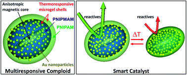 Graphical abstract: Advanced multiresponsive comploids: from design to possible applications