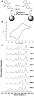 Graphical abstract: Quantitative measurement of redox potential in hypoxic cells using SERS nanosensors