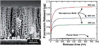 Graphical abstract: Molecular release from patterned nanoporous gold thin films