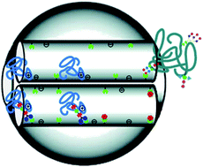 Graphical abstract: Insights into the effect of nanoconfinement on molecular interactions