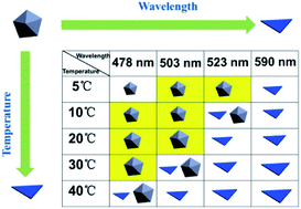 Graphical abstract: Kinetic effects in the photomediated synthesis of silver nanodecahedra and nanoprisms: combined effect of wavelength and temperature