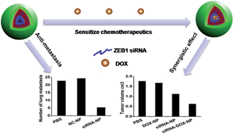 Graphical abstract: ZEB1 knockdown mediated using polypeptide cationic micelles inhibits metastasis and effects sensitization to a chemotherapeutic drug for cancer therapy