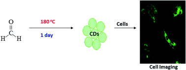 Graphical abstract: Carbon dots obtained using hydrothermal treatment of formaldehyde. Cell imaging in vitro