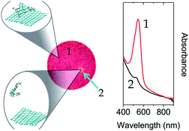 Graphical abstract: Graphene as a photothermal switch for controlled drug release