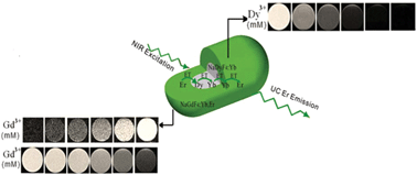 Graphical abstract: “Smart” theranostic lanthanide nanoprobes with simultaneous up-conversion fluorescence and tunable T1–T2 magnetic resonance imaging contrast and near-infrared activated photodynamic therapy