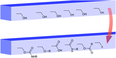 Graphical abstract: Surface modification of cellulose nanocrystals