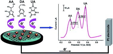 Graphical abstract: Sensitive electrochemical sensors for simultaneous determination of ascorbic acid, dopamine, and uric acid based on Au@Pd-reduced graphene oxide nanocomposites