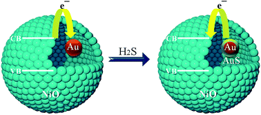 Graphical abstract: Design of highly sensitive and selective Au@NiO yolk–shell nanoreactors for gas sensor applications