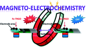 Graphical abstract: Magnetic control of electrochemical processes at electrode surface using iron-rich graphene materials with dual functionality