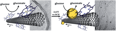 Graphical abstract: From gold porphyrins to gold nanoparticles: catalytic nanomaterials for glucose oxidation