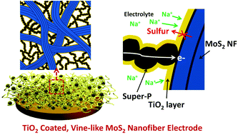 Graphical abstract: Vine-like MoS2 anode materials self-assembled from 1-D nanofibers for high capacity sodium rechargeable batteries