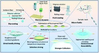 Graphical abstract: Bioinspired micro-/nanostructure fibers with a water collecting property