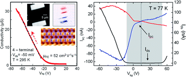 Graphical abstract: Polarized photocurrent response in black phosphorus field-effect transistors